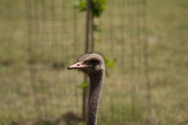 IMG_3999