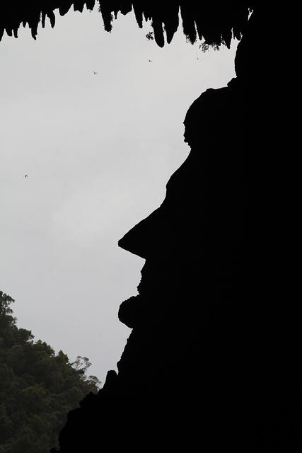 IMG_4996