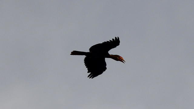IMG_5543crop