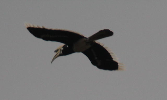 IMG_5587crop