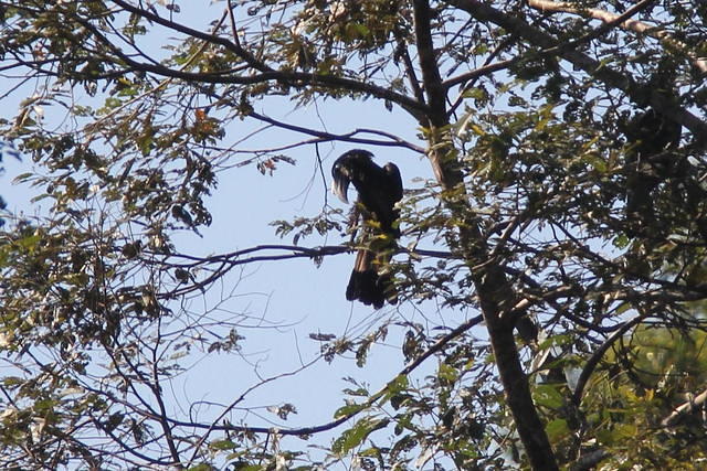 IMG_5980crop