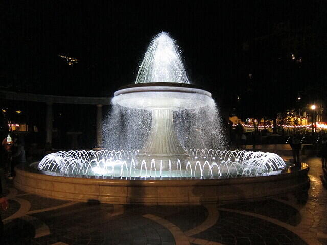 IMG 6919