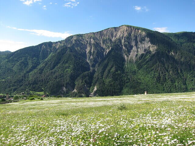 IMG 6955