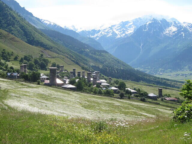 IMG 6956