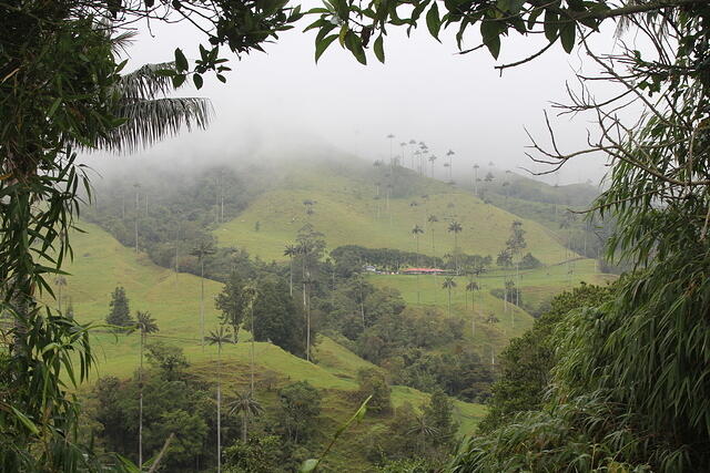 IMG 2859