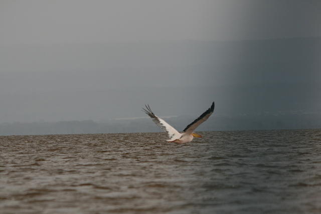 IMG_3593