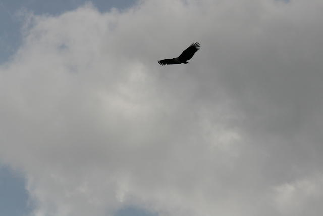 IMG_3603