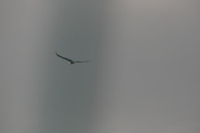 IMG_3723