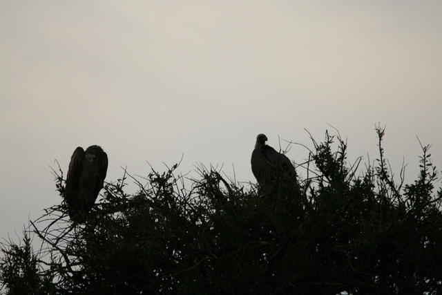 IMG_3876