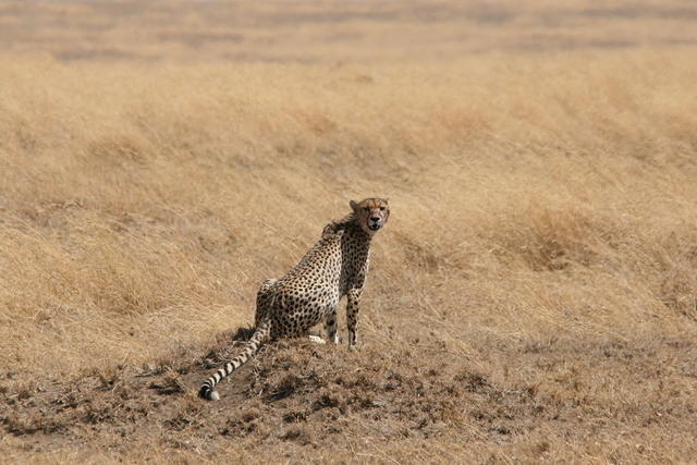 IMG_4518.JPG