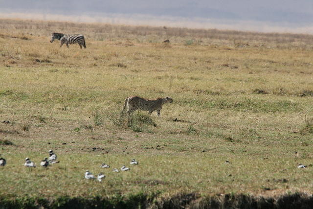 IMG_4658.JPG