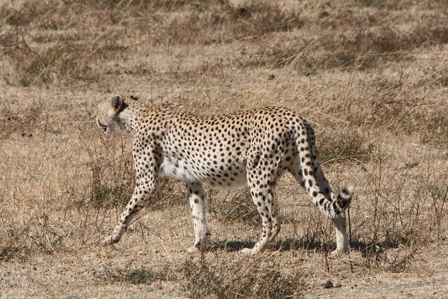 IMG_4676.JPG