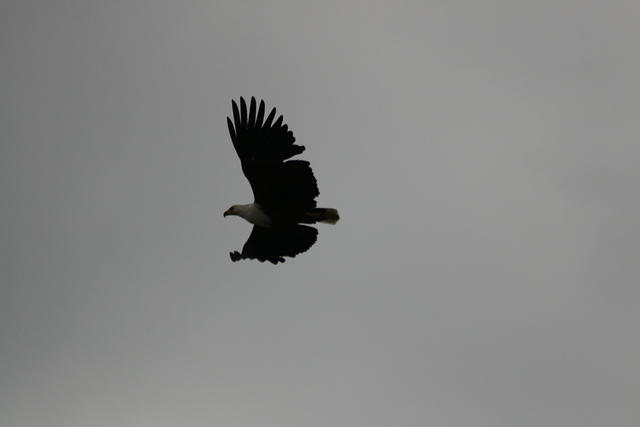 IMG_3607