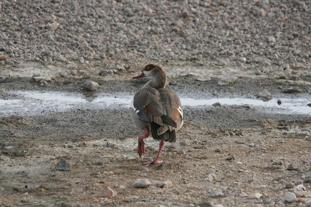 IMG_4407
