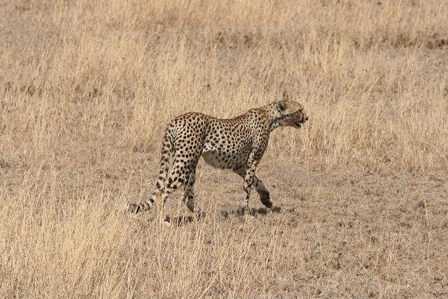 IMG_4504