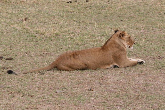 IMG_3970.JPG