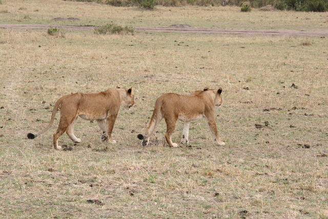 IMG_3974.JPG