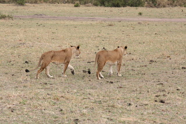 IMG_3975.JPG