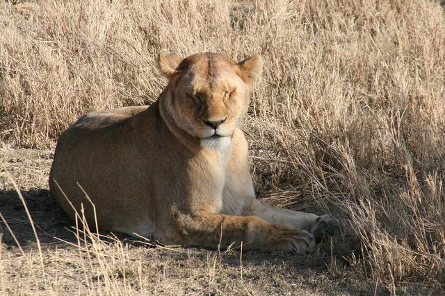 IMG_4286.JPG