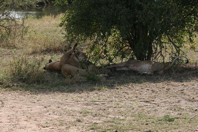 IMG_4464.JPG