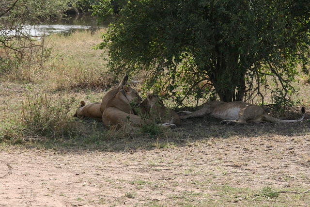 IMG_4466.JPG