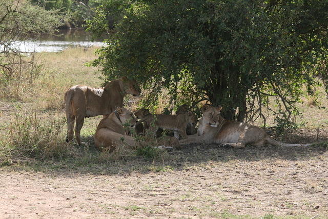 IMG_4471.JPG