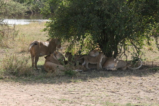 IMG_4474.JPG