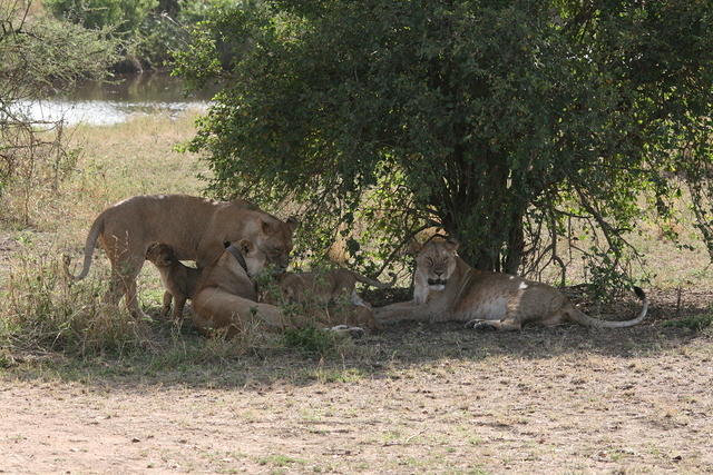 IMG_4475.JPG