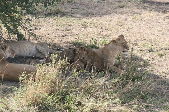 IMG_4491.JPG