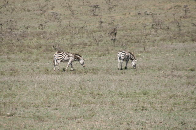 IMG_3765