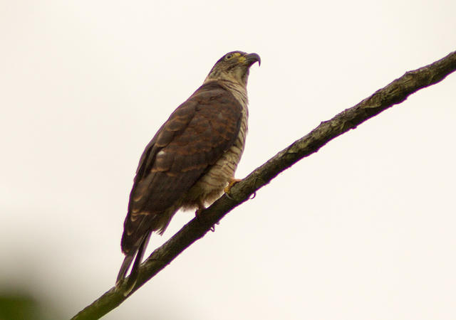 IMG_6860