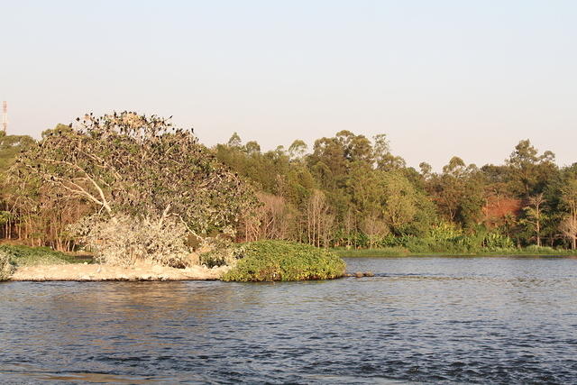 IMG 0075