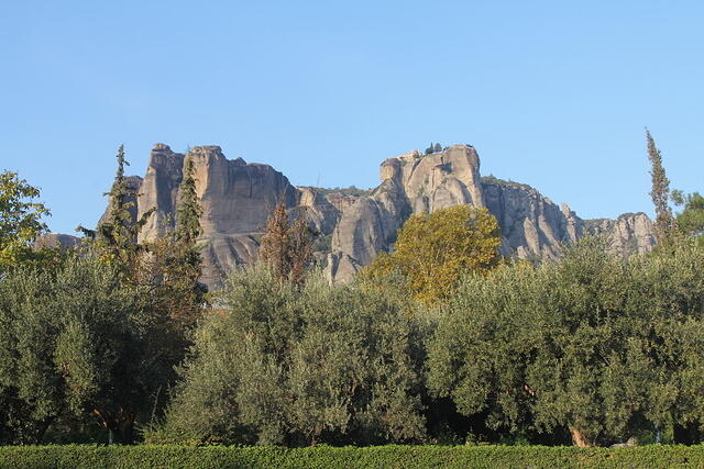 IMG 9969