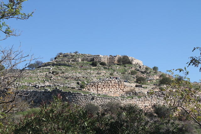 IMG 0185