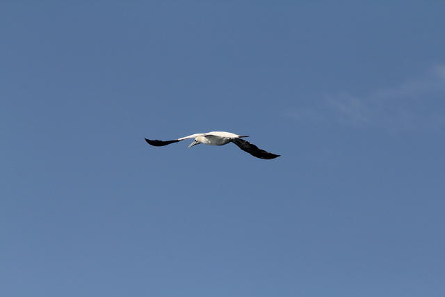 IMG_6489