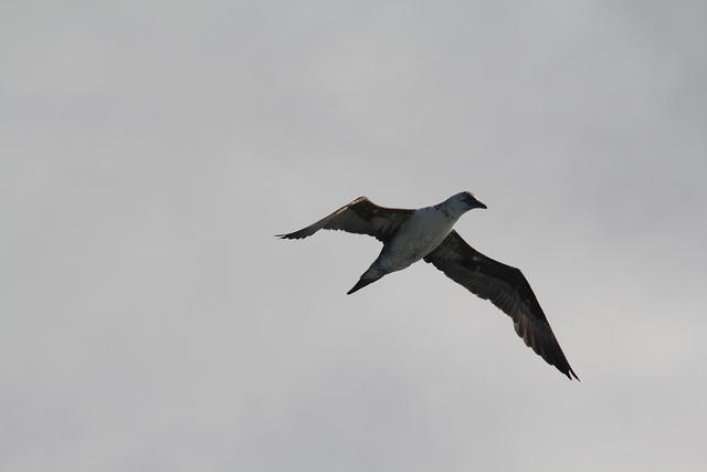 IMG_6493