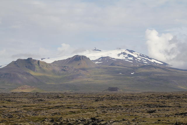 IMG_6728