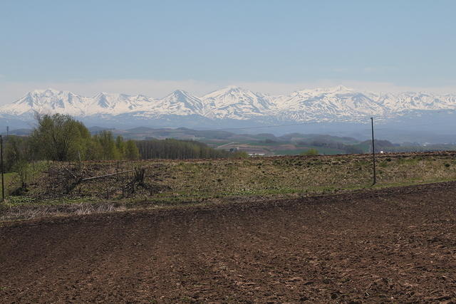 IMG_9249