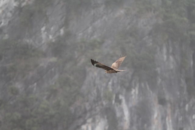 IMG_2358