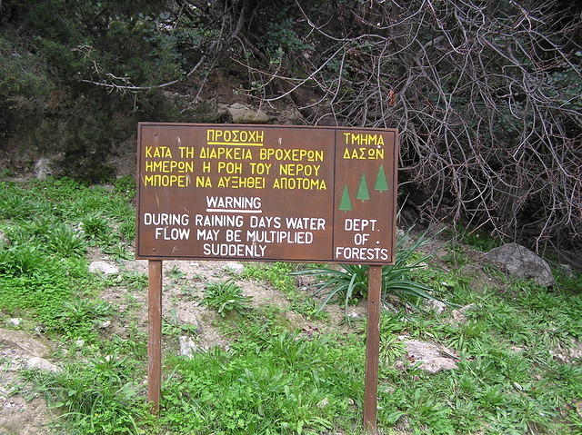 P1010015