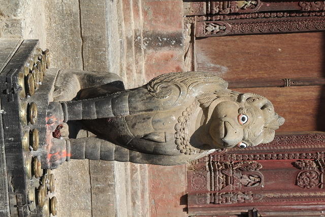IMG_8682