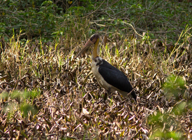 IMG_8404