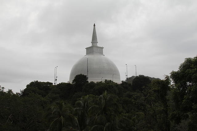 IMG_3237