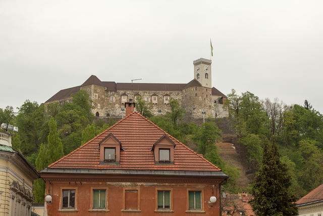 IMG_4868