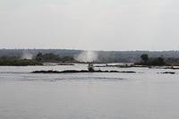 IMG_3531