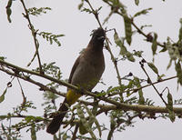 IMG_3906