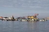 IMG_4453