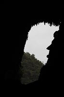 IMG_4995