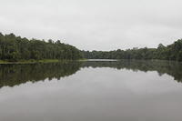 IMG_5591