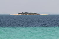 IMG_5705